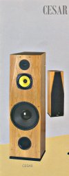 Enceintes Cesar Davis Acoustics